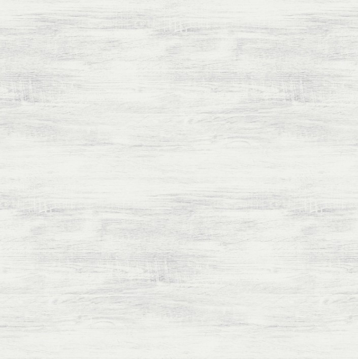 Little Seedlings Farm Barnwood Texture Light Gray by Moque Lee for Blank Quilting