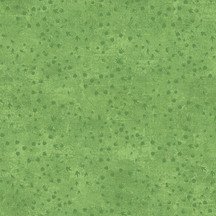 Dino Roar Dino Tracks Green by Brett Blumenthal for Northcott Fabrics