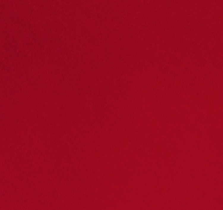 Quilting Cuddle Solid Cardinal from Shannon Fabrics