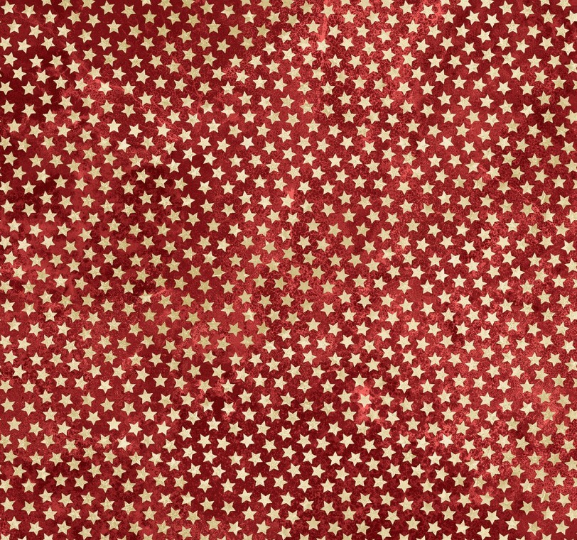 America 250 Stars Red-Beige by Linda Ludovico for Northcott Fabrics