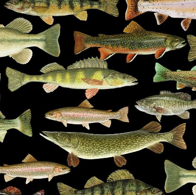 Woodland Retreat Fish Black from Timeless Treasures