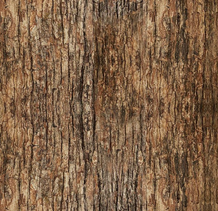 Woodland Retreat Tree Bark Brown by Chong-A Hwang for Timeless Treasures