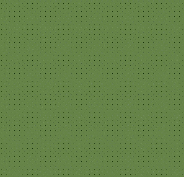 American Jane Pindots Sage by American Jane for Riley Blake Designs