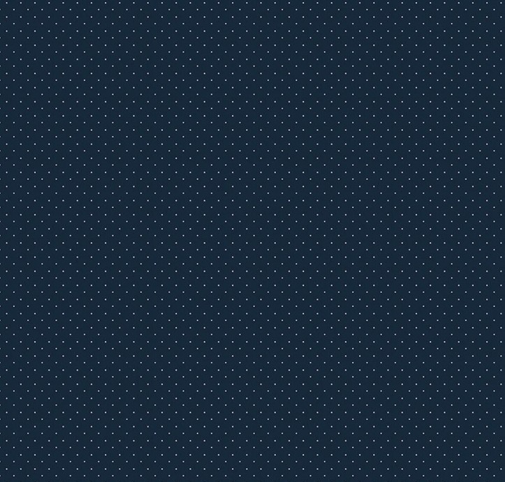 American Jane Pindots Navy by American Jane for Riley Blake Designs