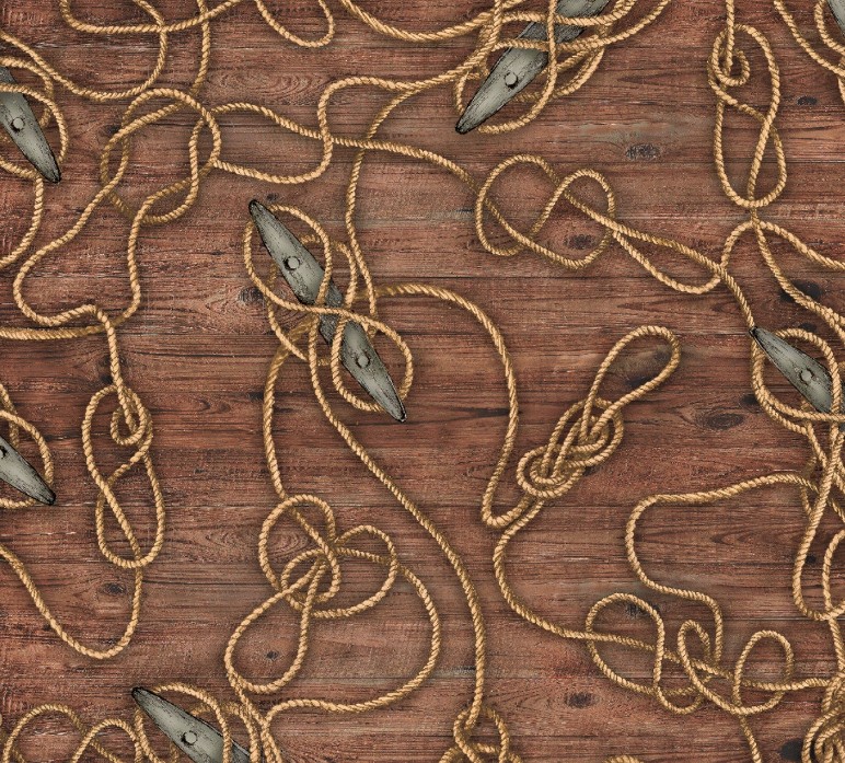 Fair Winds & Following Seas Cleat Lines Brown by Michael Moon for 3 Wishes Fabrics