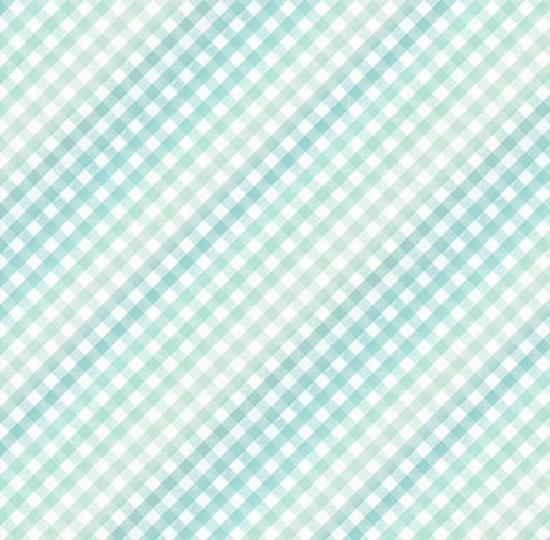 First Impressions Sweet Gingham Blue Teal from P&B