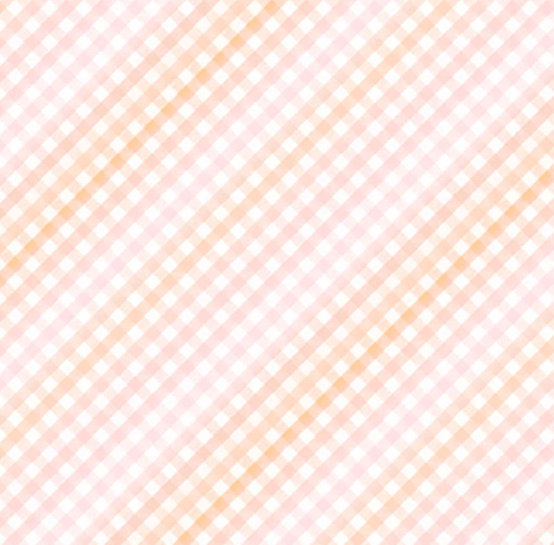 First Impressions Sweet Gingham Pink from P&B