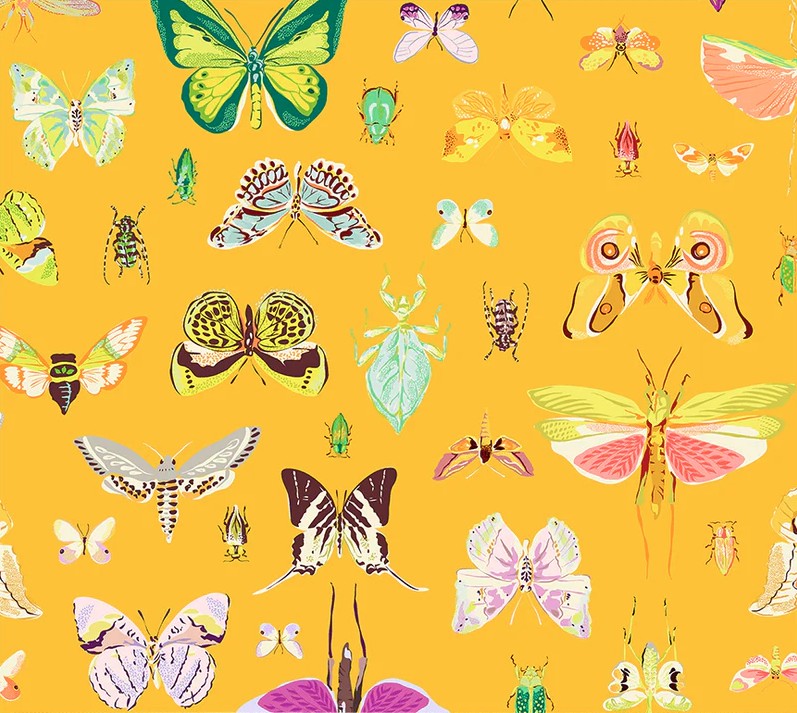 Insectarium On Display Amber by Tamara Kate for Windham Fabrics