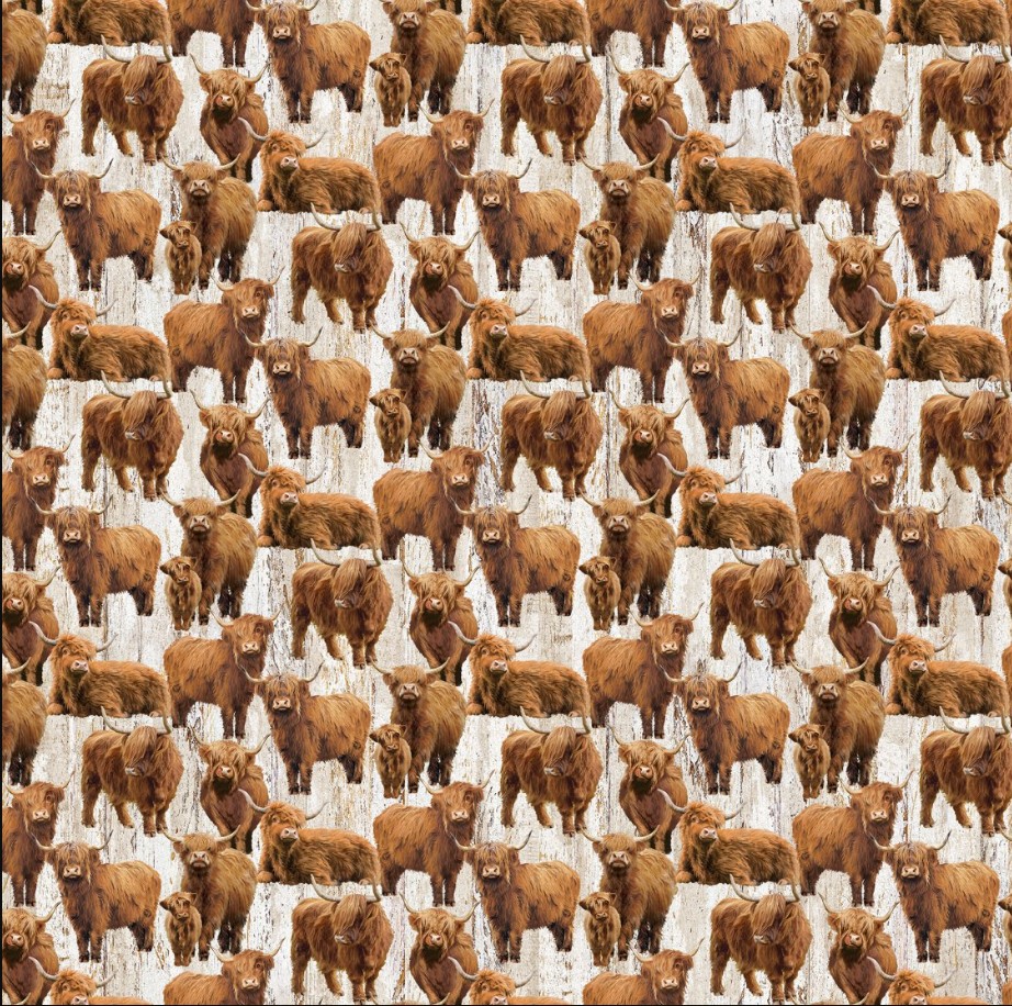 Highland Home Highland Cows from Northcott