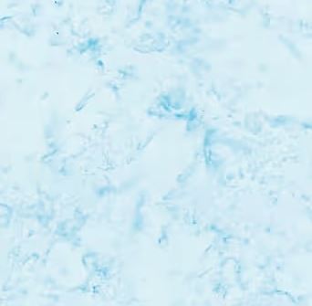 Celtic Knot Table Runner Backing Kit