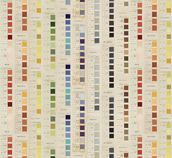Palette Multi Palettes by Tim Holtz for Free Spirit