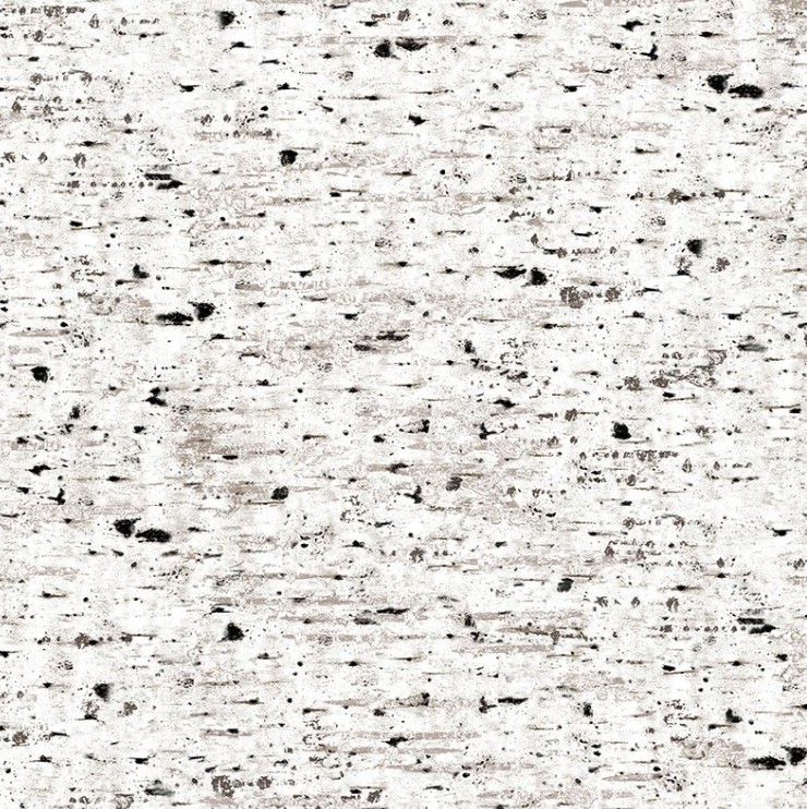 Woodland Retreat Birch Tree Texture Natural from Timeless Treasures