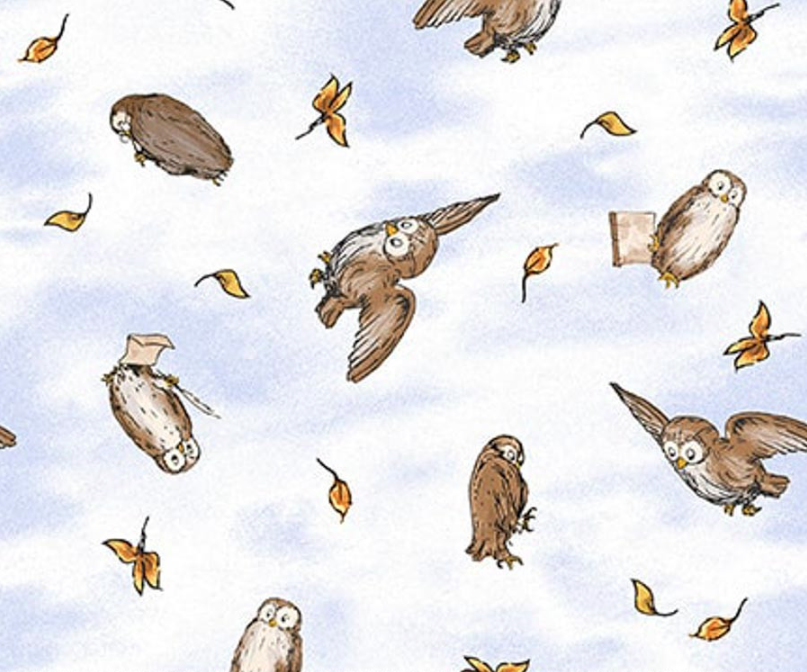 Classic Winnie Owls Light Blue from Studio E