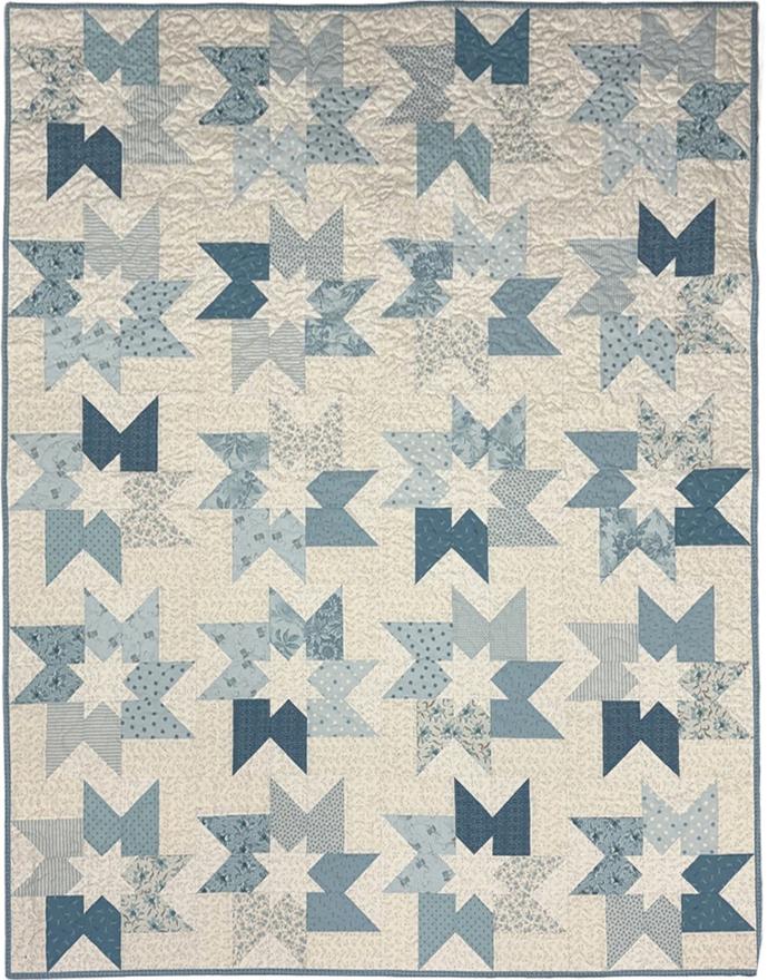 Cosmic Sewing Bird Quilt Kit