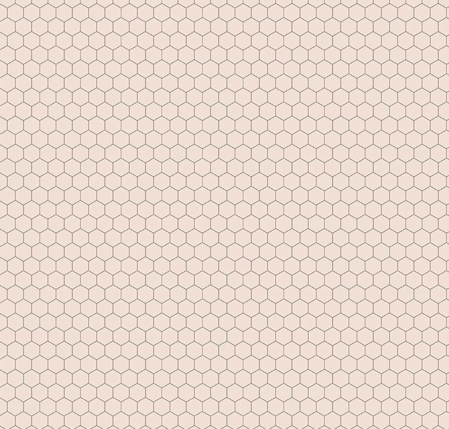 Farmer's Daughter Chicken Wire Background Rustic from Riley Blake