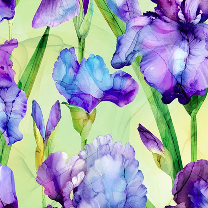 Infatuation Iris Feature Green Multi by Deborah Edwards & Melanie Samra for Northcott Fabrics