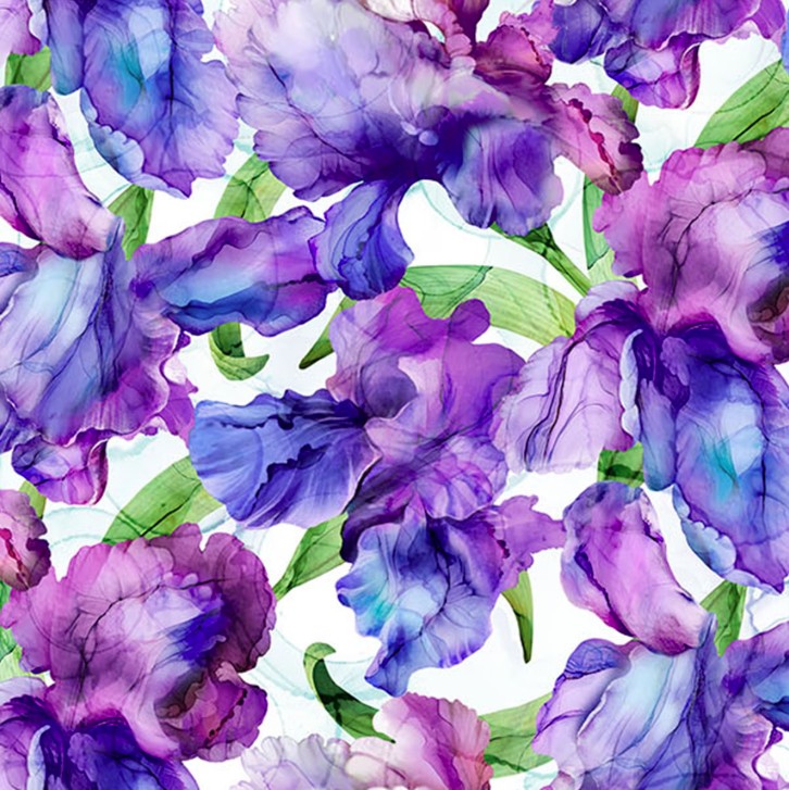 Infatuation Packed Iris White Multi by Deborah Edwards & Melanie Samra for Northcott Fabrics