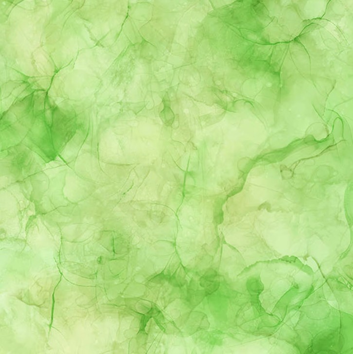 Infatuation Tonal Texture Green by Deborah Edwards & Melanie Samra for Northcott Fabrics