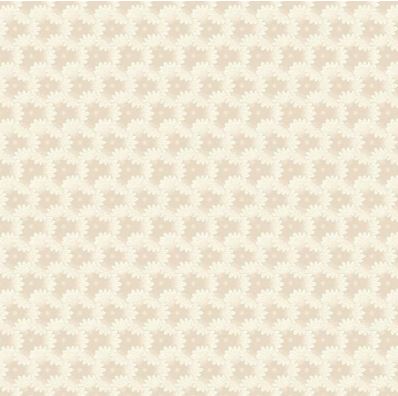 Franklin House Quilt Backing Kit