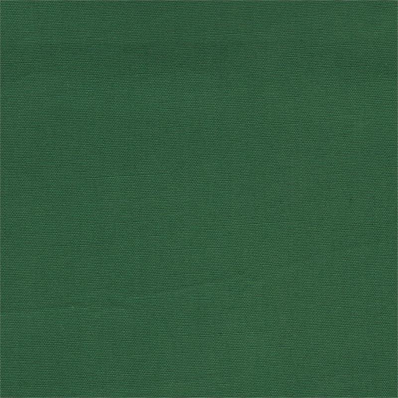 Essentials Solids Batiks Fern Green from Batik Textiles