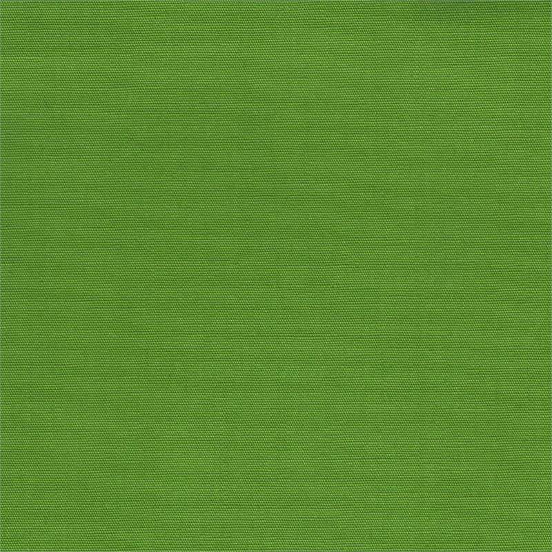 Essentials Solids Batiks Apple Green from Batik Textiles