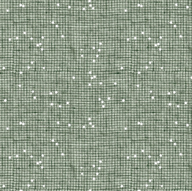 Stash Check Sage by Ghazal Razavi for Northcott Fabrics
