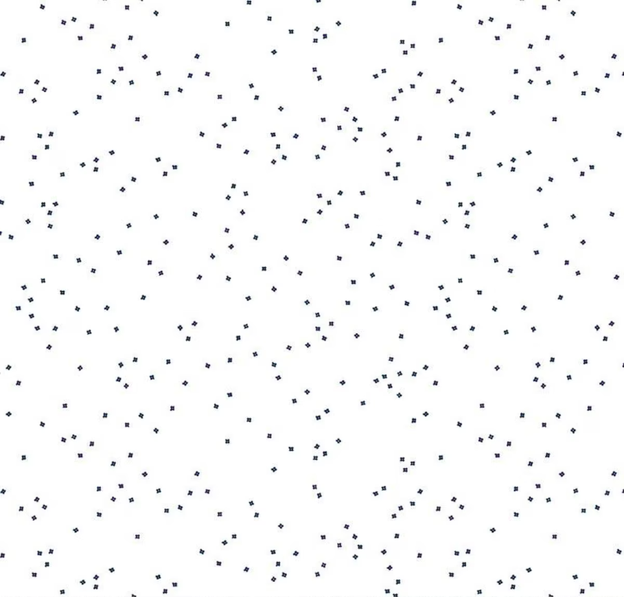 Blossoms Navy on White from Riley Blake