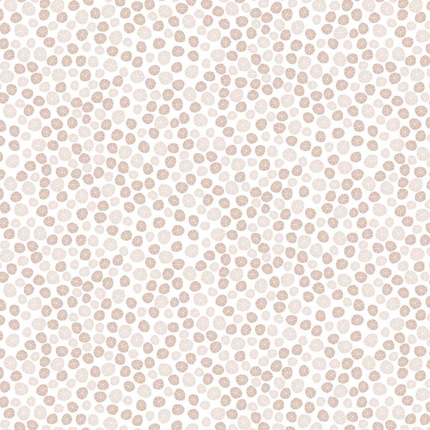 Beyond the Sea Sand Dollars White from Dear Stella