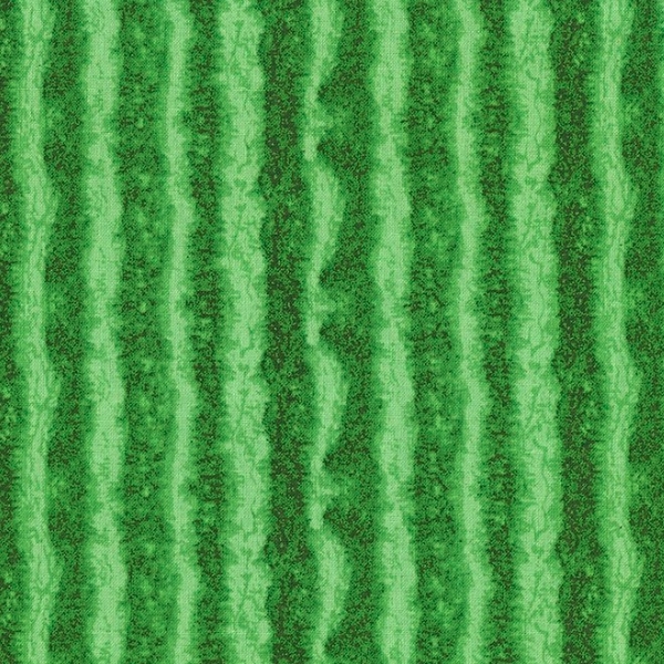 Fresh Fruit Watermelon Skin Green from Timeless Treasures