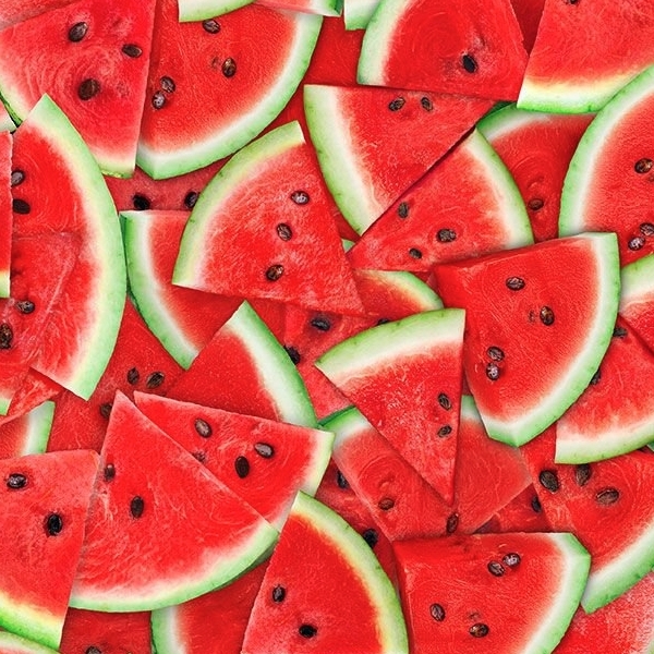 Fresh Fruit Packed Watermelon Slices Watermelon from Timeless Treasures