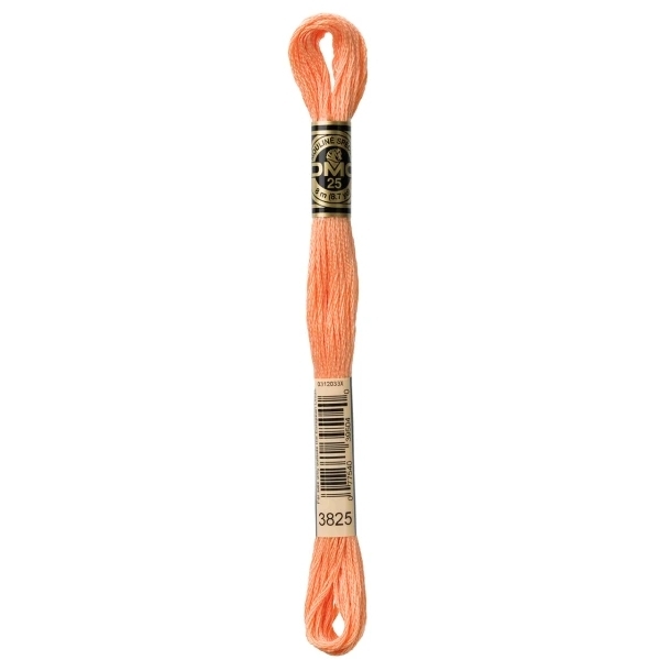 DMC Embroidery Floss Pale Pumpkin 3825