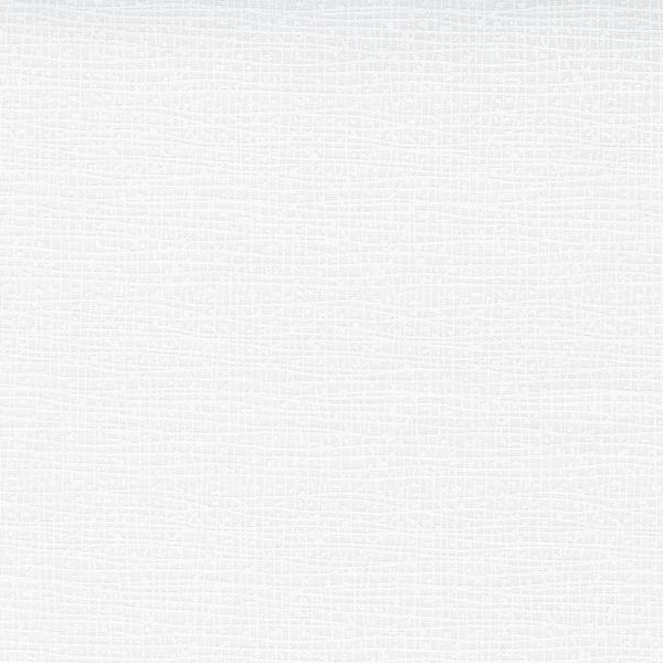 Thatched Blizzard Wide Back from Moda Fabrics