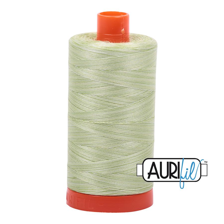 Aurifil 50 Wt. Thread - Light Spring Green Variegated 3320