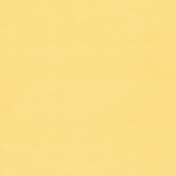 Quilting Cuddle Solid Sunshine from Shannon Fabrics