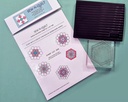 Sew-N-Quilt Acrylic Hexi Basic Stamp Set