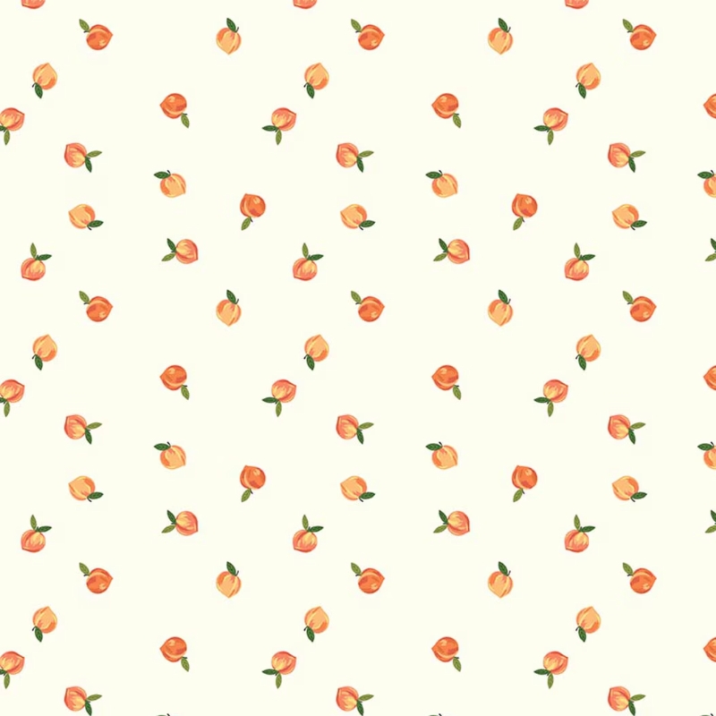 Southern Charm Peaches Cloud from Riley Blake
