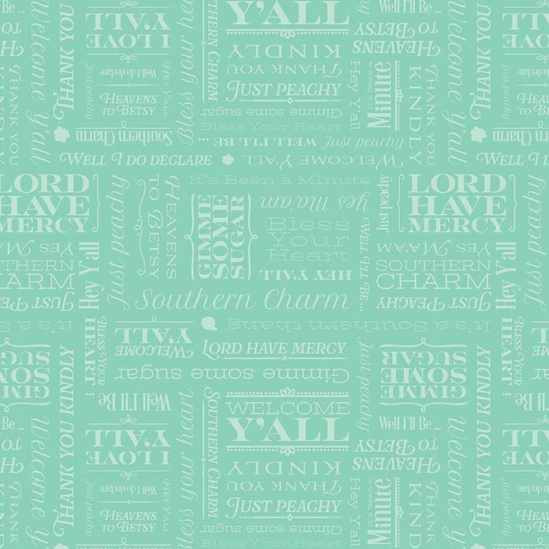Southern Charm Text Mint from Riley Blake