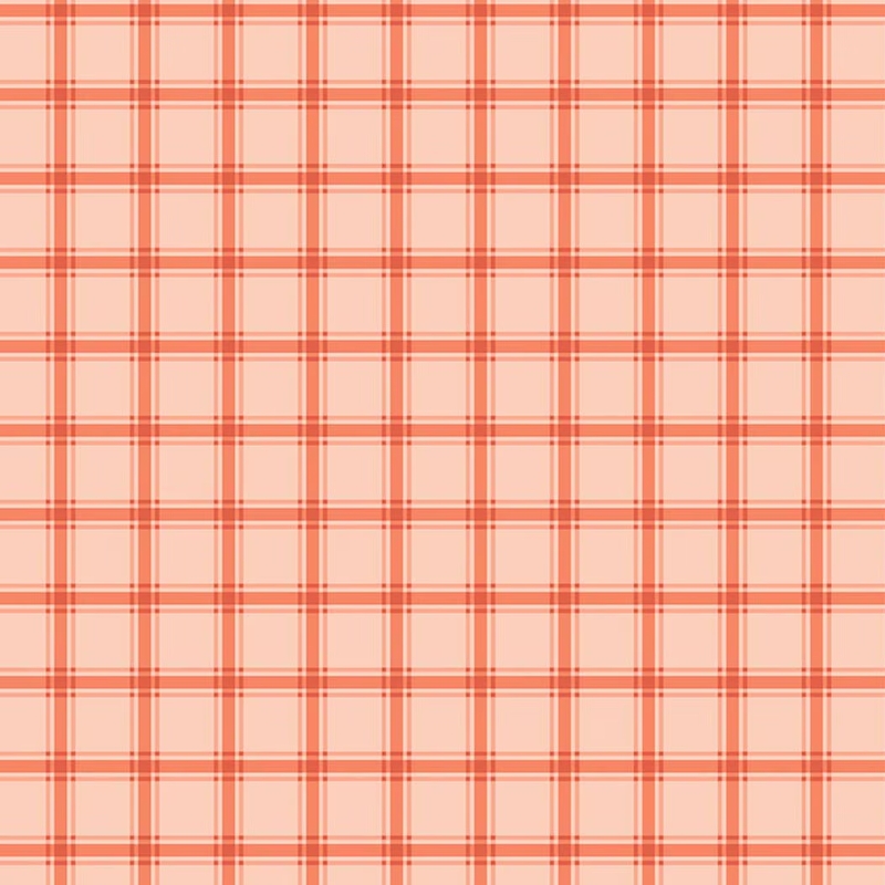 Southern Charm Gingham Peach from Riley Blake