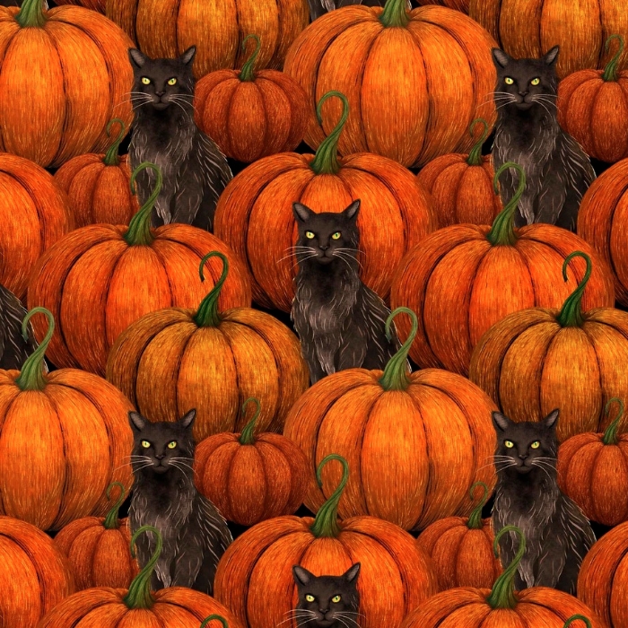 Harvest Haunt Pumpkins and Black Cats Orange from Blank Quilting