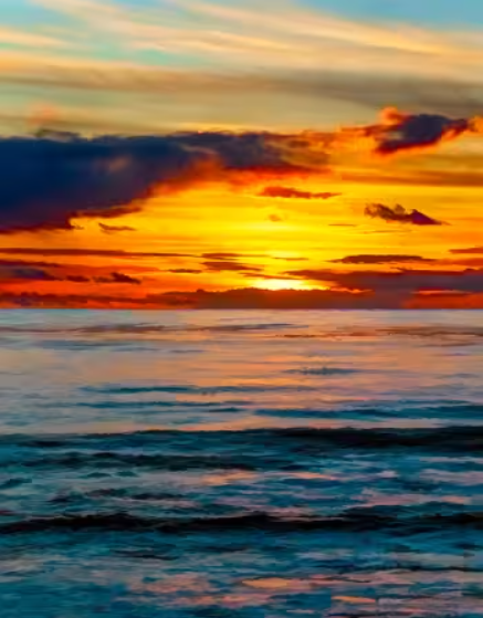 Winter Sunset Panel from Focus on Fabric