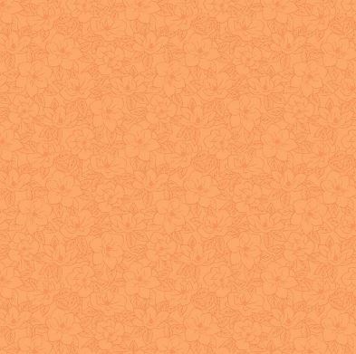 Southern Charm Soulshine Quilt Backing Kit 2