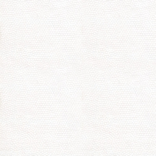 Dimples Snow from Andover Fabrics