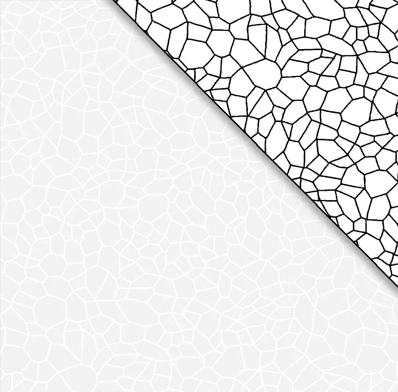 Ramblings 12 Net White On White from P&B Textiles