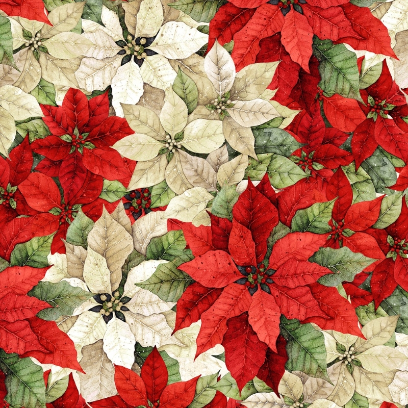 Poinsettia Radiance Packed Poinsettia Cream/Red from Lumin Fabrics