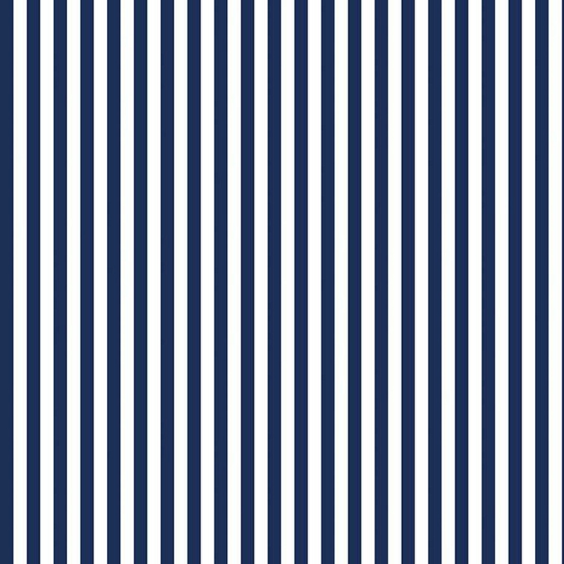 Stripe 1/4 Inch Navy from Riley Blake