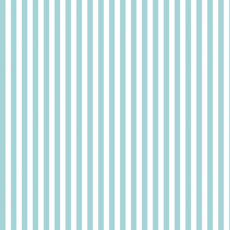 Stripe 1/4 Inch Aqua from Riley Blake