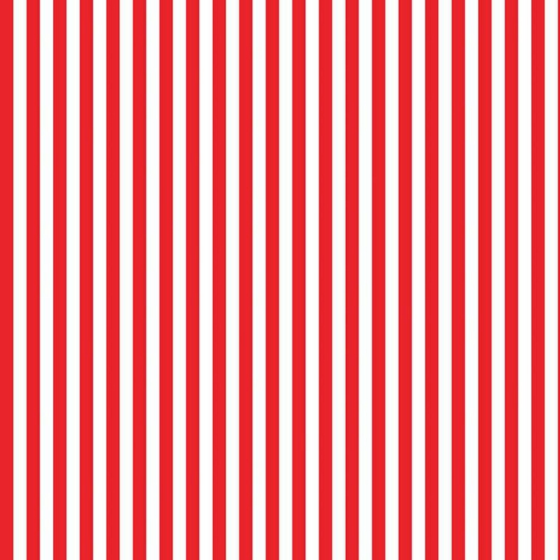 Stripe 1/4 Inch Red from Riley Blake