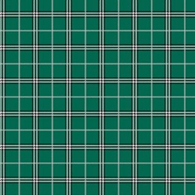 Rudolph the Red-Nosed Reindeer Plaid Spruce from Northcott Fabrics