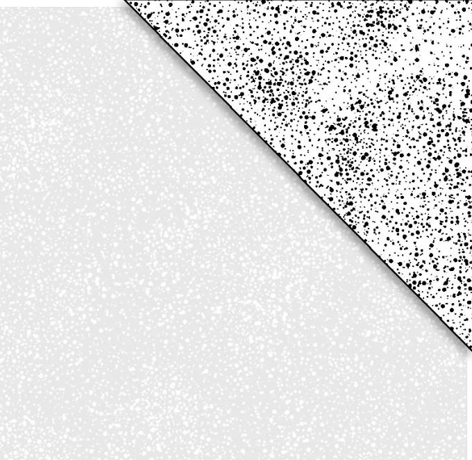 Ramblings 14 Spray White on White from P&B Textiles