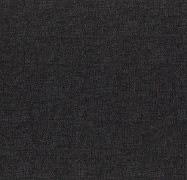 Thatched Soft Black by Robin Pickens from Moda Fabrics